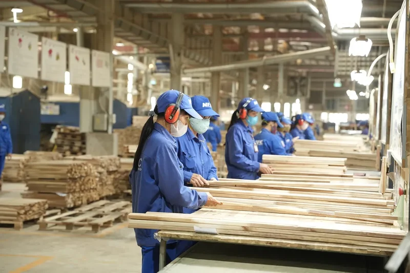 NAFOCO Factory