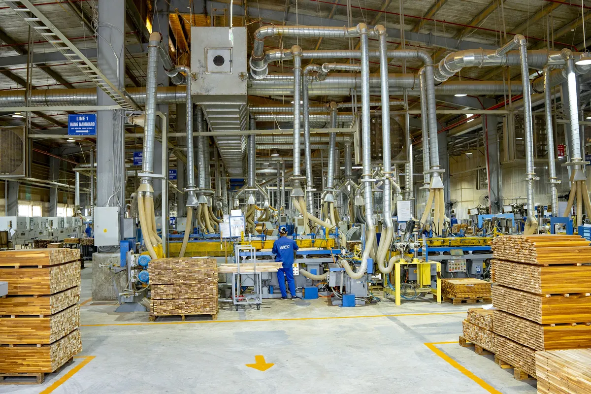 FSC Furniture Certification: A Guide for US Importers