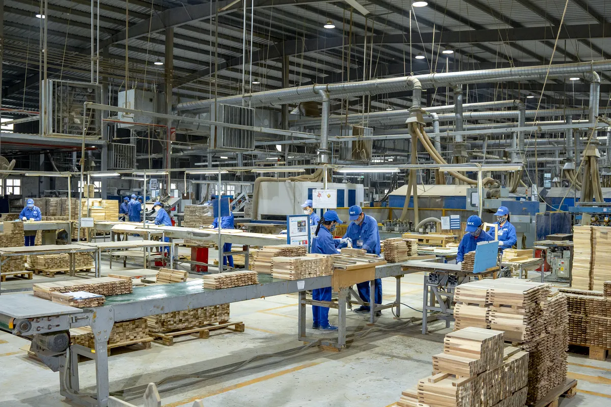 What Is Acacia Wood? A Guide for Furniture Importers